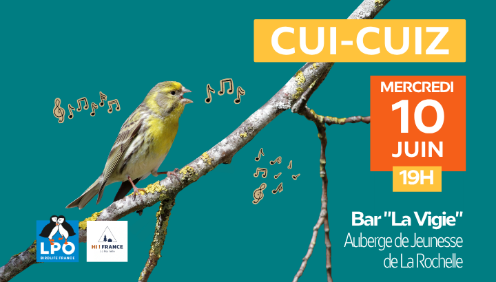 Cui-Cuiz - chants d'oiseaux